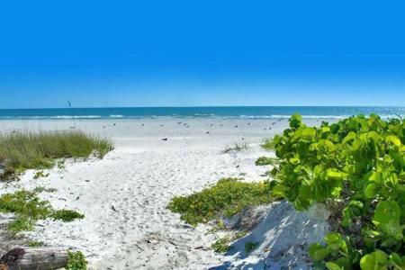 Townhouse At San Remo Leilighet Clearwater Beach Eksteriør bilde